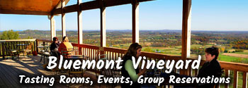 Falcon Cab & Falcon Tours - Bluemont Vineyard
